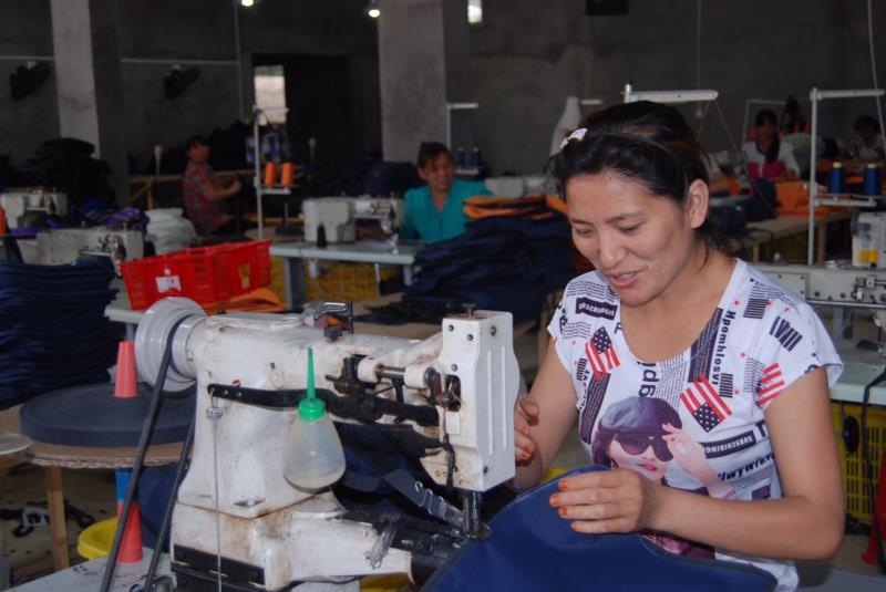 特色產(chǎn)業(yè) 富民興鎮(zhèn)--鄧州市九龍鎮(zhèn)特色產(chǎn)業(yè)助力脫貧